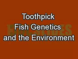 Toothpick Fish Genetics and the Environment