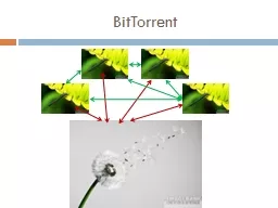 BitTorrent BitTorrent  network