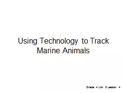 Using Technology to Track Marine Animals