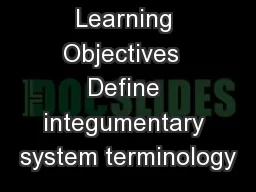 Learning Objectives  Define integumentary system terminology