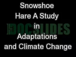 The Snowshoe Hare A Study in Adaptations and Climate Change