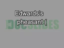 Edwards‘s   pheasant (