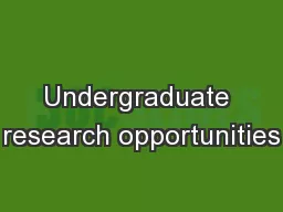 Undergraduate research opportunities