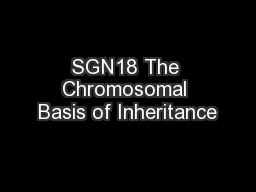 SGN18 The Chromosomal Basis of Inheritance