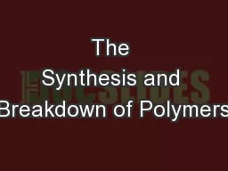 The Synthesis and Breakdown of Polymers