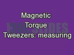 Magnetic Torque Tweezers: measuring