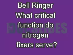 Bell Ringer What critical function do nitrogen fixers serve?
