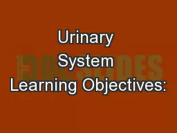 Urinary System Learning Objectives: