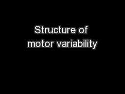 Structure of motor variability