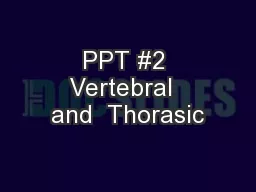PPT #2 Vertebral  and  Thorasic