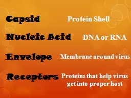 E nvelope Protein Shell C