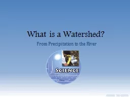 What is a Watershed? From Precipitation to the River