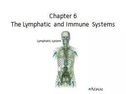 Chapter 6 The Lymphatic and Immune Systems