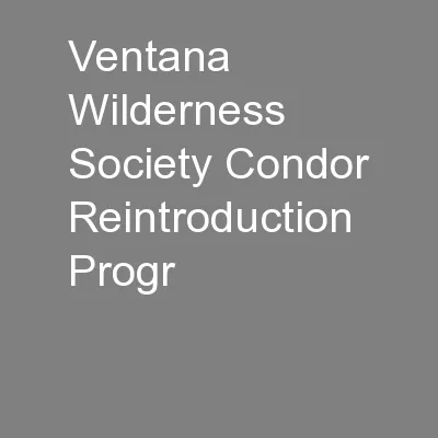 Ventana Wilderness Society Condor Reintroduction Progr