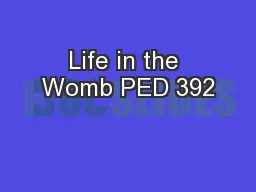 Life in the Womb PED 392