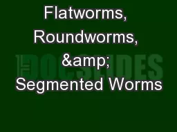 Flatworms, Roundworms, & Segmented Worms