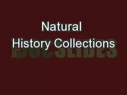 Natural History Collections