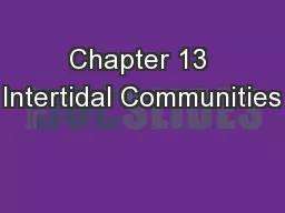 Chapter 13 Intertidal Communities