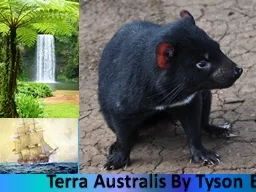 Terra  Australis  By Tyson E