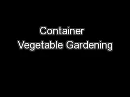 Container  Vegetable Gardening