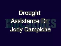 Drought Assistance Dr. Jody Campiche