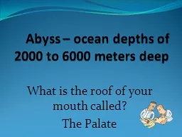 Abyss – ocean depths of 2000 to 6000 meters deep