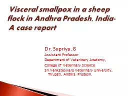 Dr.  Supriya . B Assistant Professor