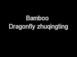 Bamboo Dragonfly zhuqingting