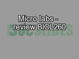 Micro labs - review BIOL260