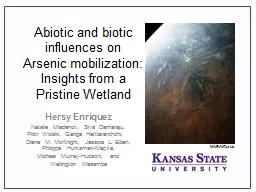 Abiotic and biotic influences on Arsenic mobilization: Insights from a Pristine Wetland