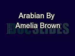 Arabian By Amelia Brown