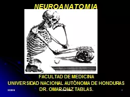 NEUROANATOMIA FACULTAD DE MEDICINA