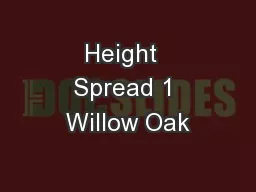 Height  Spread 1 Willow Oak