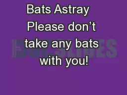 Bats Astray   Please don’t take any bats with you!