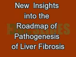New  Insights into the Roadmap of Pathogenesis of Liver Fibrosis