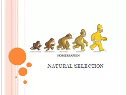 Natural Selection The Theory of Evolution