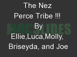 The Nez Perce Tribe !!!  By Ellie,Luca,Molly, Briseyda, and Joe