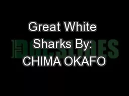 Great White Sharks By: CHIMA OKAFO