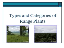 Types and Categories of Range Plants