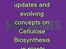Current updates and evolving concepts on Cellulose Biosynthesis in plants