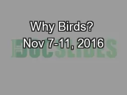 Why Birds? Nov 7-11, 2016