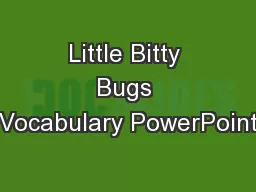 Little Bitty Bugs Vocabulary PowerPoint