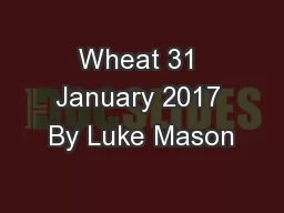 Wheat 31 January 2017 By Luke Mason