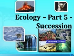 Ecology –  Part 5  - Succession