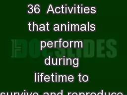 Animal Behavior Ch. 36  Activities that animals perform during lifetime to survive and