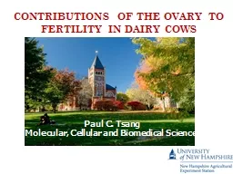 CONTRIBUTIONS OF THE OVARY TO FERTILITY IN DAIRY COWS