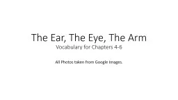 The Ear, The Eye, The Arm