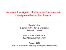 Numerical Investigation of Microscale Phenomena in a Multiphase Packed Bed Reactor