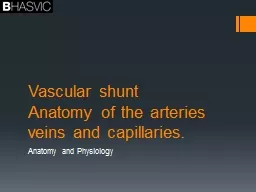 Vascular shunt Anatomy of the arteries veins and capillaries.