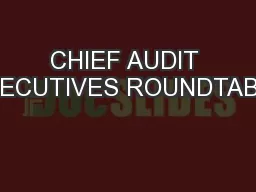 CHIEF AUDIT EXECUTIVES ROUNDTABLE